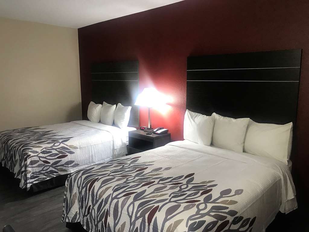 Red Roof Inn & Suites Austin East - Manor חדר תמונה